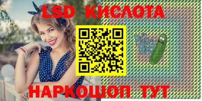 шишки Бийск