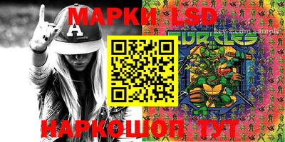 шишки Бийск