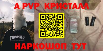 шишки Бийск