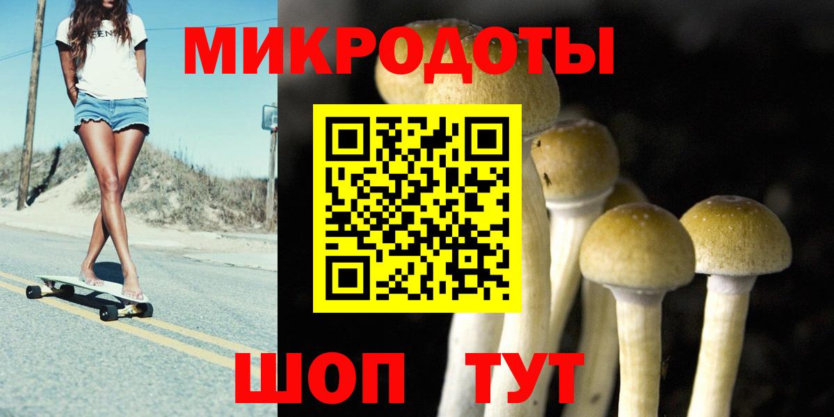 Гусев  Галлюциногенные грибы MAGIC MUSHROOMS  Вход с VPN  Галлюциногенные грибы MAGIC MUSHROOMS 