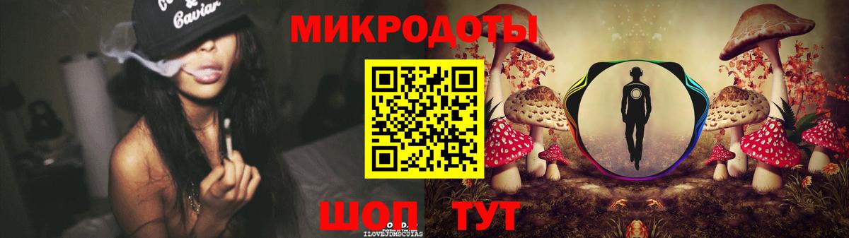 Псилоцибиновые грибы мицелий Гусев